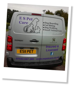 E S Pet Care Taunton