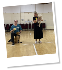 E S Pet Care Taunton